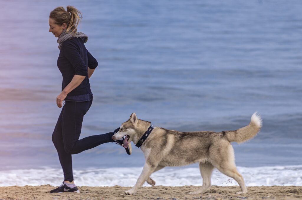 Doggy Exercise 101: Keeping Your Pup Active And Fit